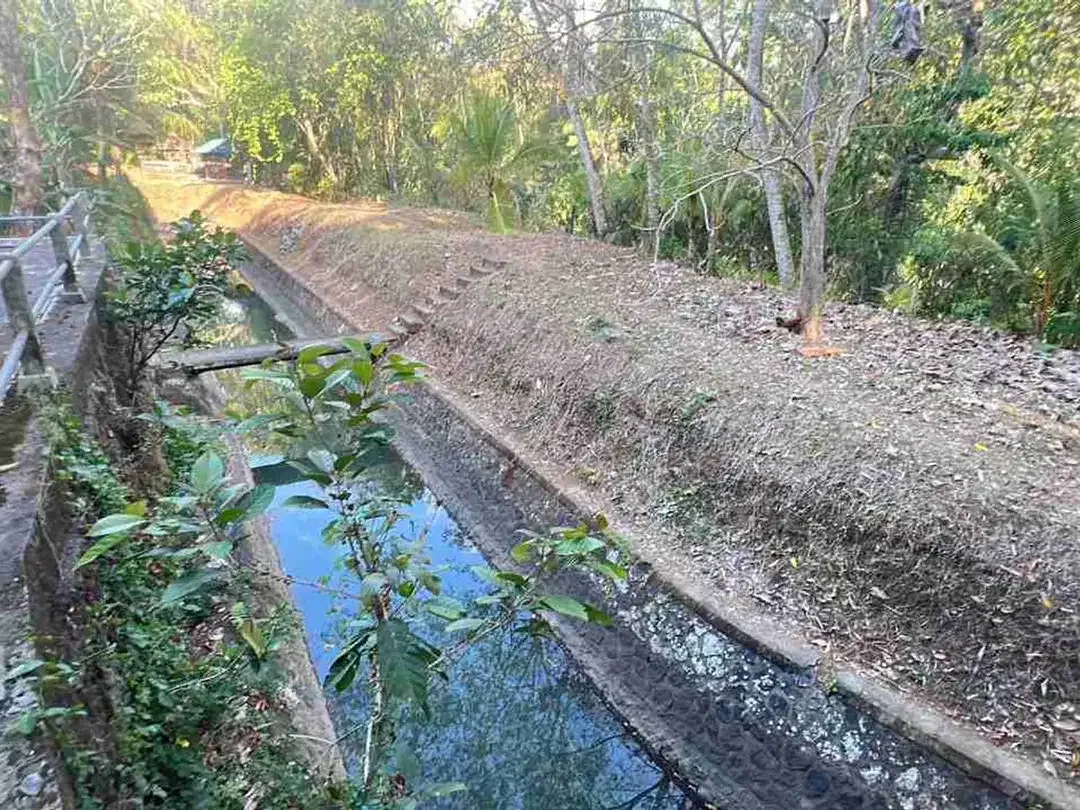 jual tanah kebun view bagus fi tabanan bali. - Image 9 of 10