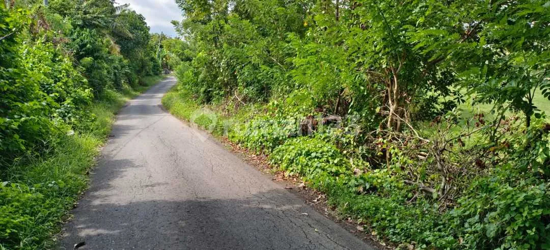 Jual Tanah Kebun Los Sungai Kontur Datar Dekat Jalan Utama,Di Tabanan Bali. - Image 1 of 4