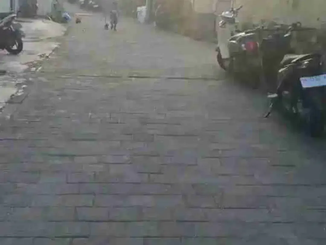 Di jual tanah jalan Pendidikan ,Sidakarya, Denpasar, Bali - Image 2 of 5
