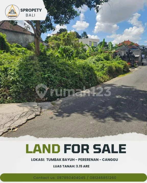 Dijual Cepat Tanah Tumbak Bayuh - Pererenan - Canggu/Lingkungan Villa - Villa Komersil - Image 1 of 4
