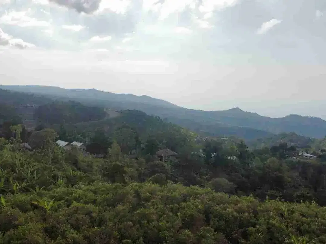 Tanah 30 Ha View Alam Kawasan Turyapada Buleleng - Image 6 of 8