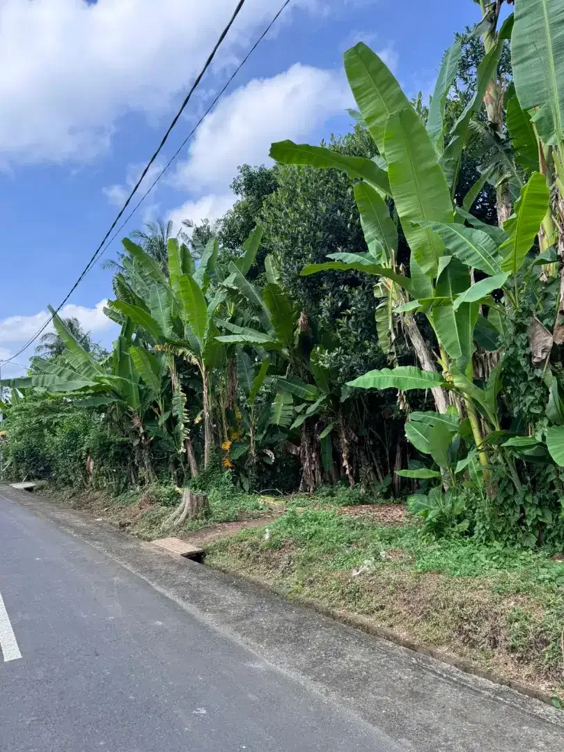 35mnit to canggu pererenan - Image 2 of 5
