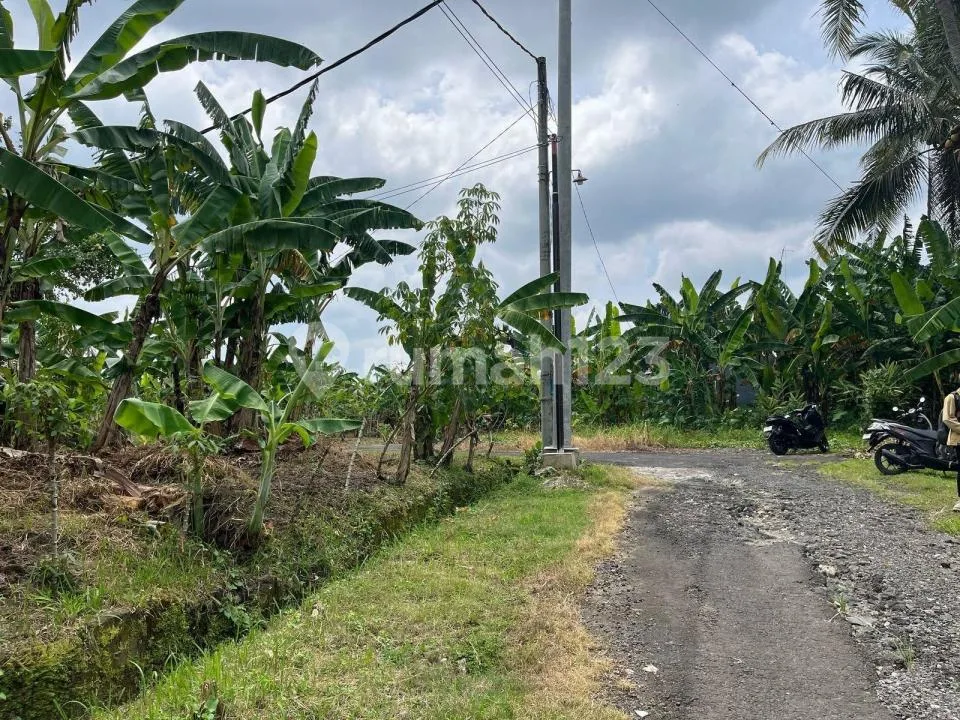 Dijual Tanah Dekat Kota Tabanan, Bali - Image 3 of 4