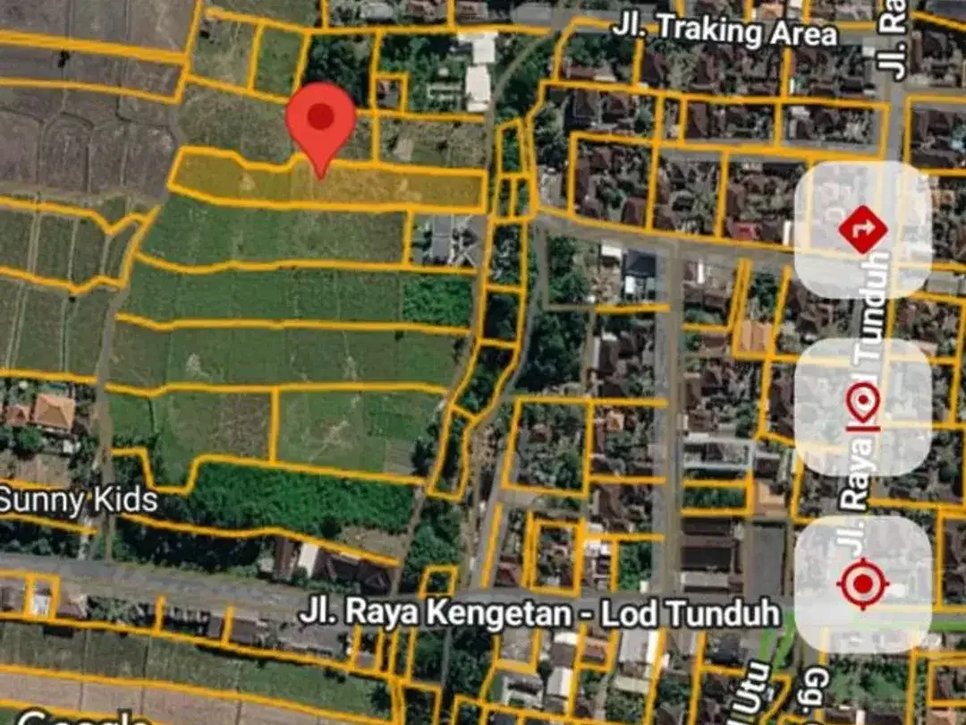 TANAH STRATEGIS LOD TUNDUH UBUD - Image 3 of 10