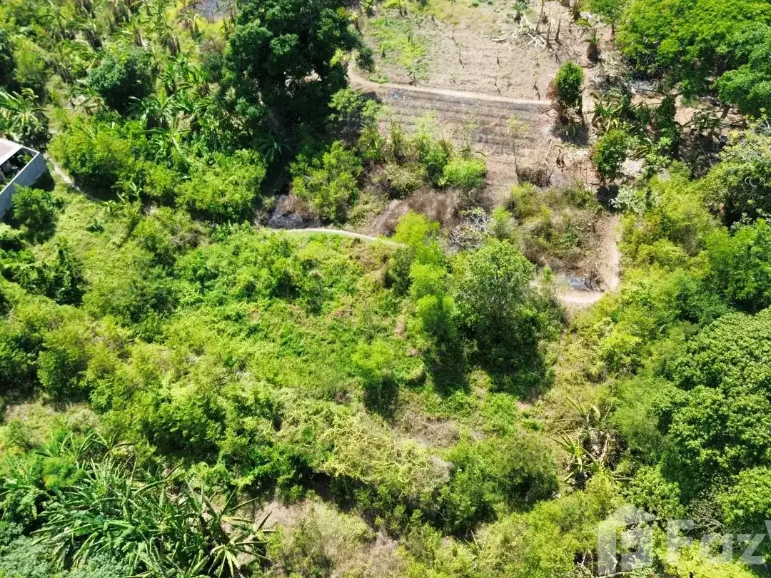 Land for sale in Sanur, Bali - Image 7 of 10