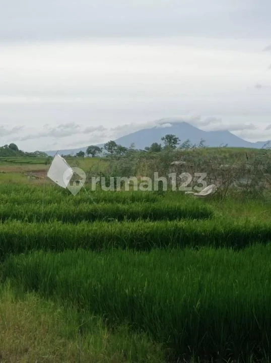 Dijual Tanah Jalan Yeh Gangga Tabanan Bebas Banjir - Image 1 of 4