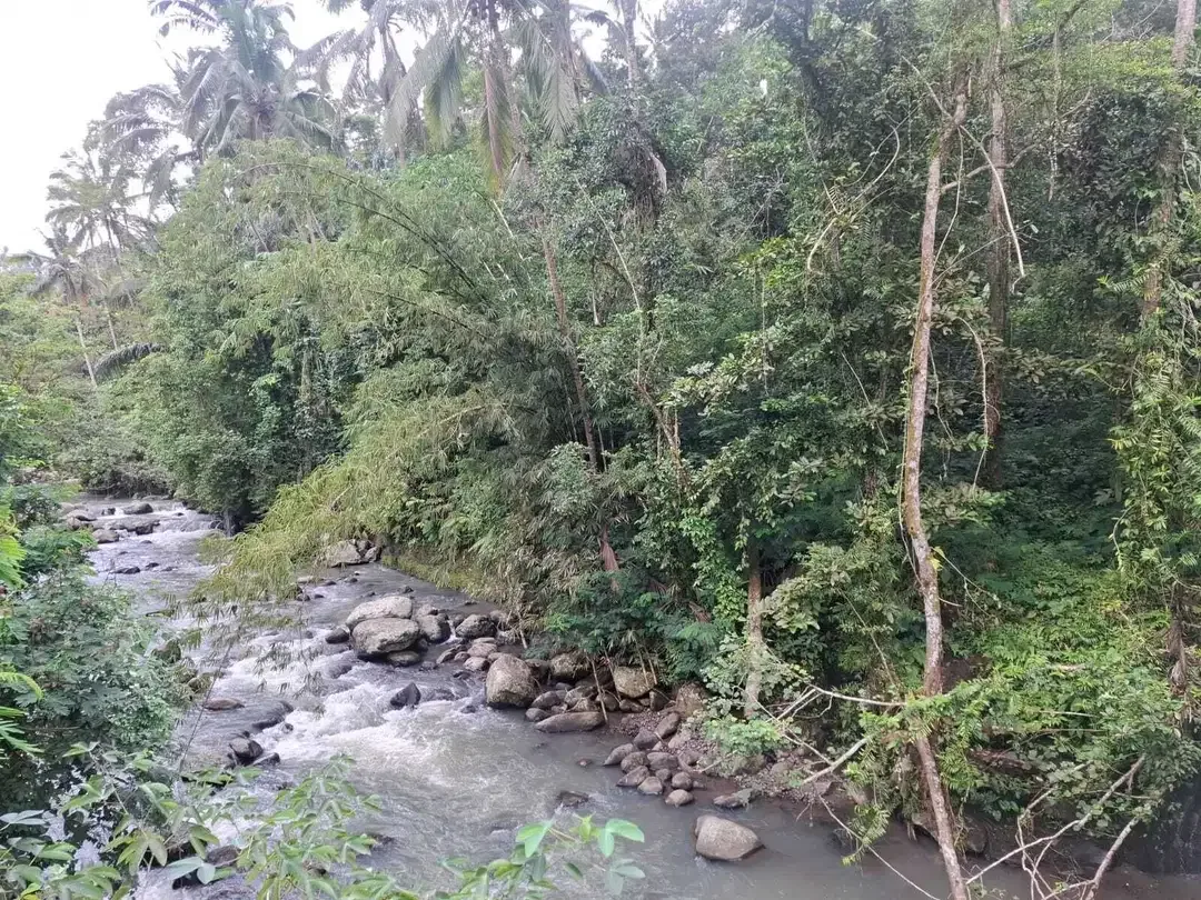Dijual tanah kecil los sungai besar di tabanan bali - Image 1 of 8