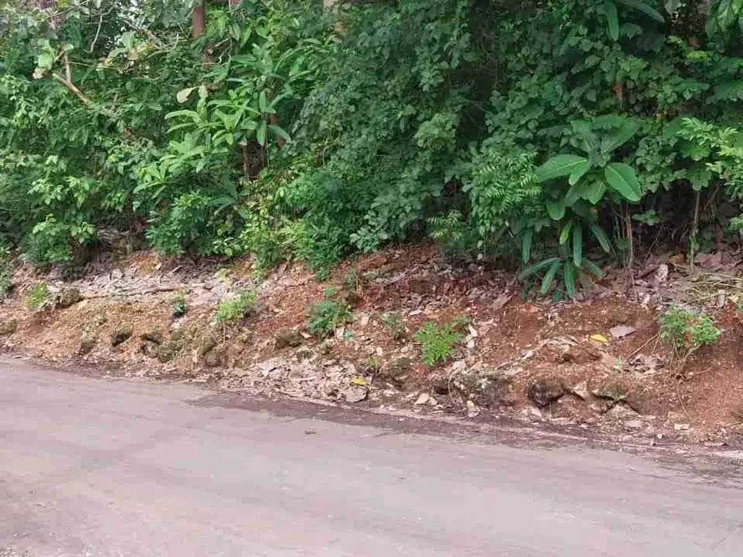 dijual tanah 19,80 are Kawasan Nyang Nyang beach pecatu 850 juta per are - Image 2 of 10