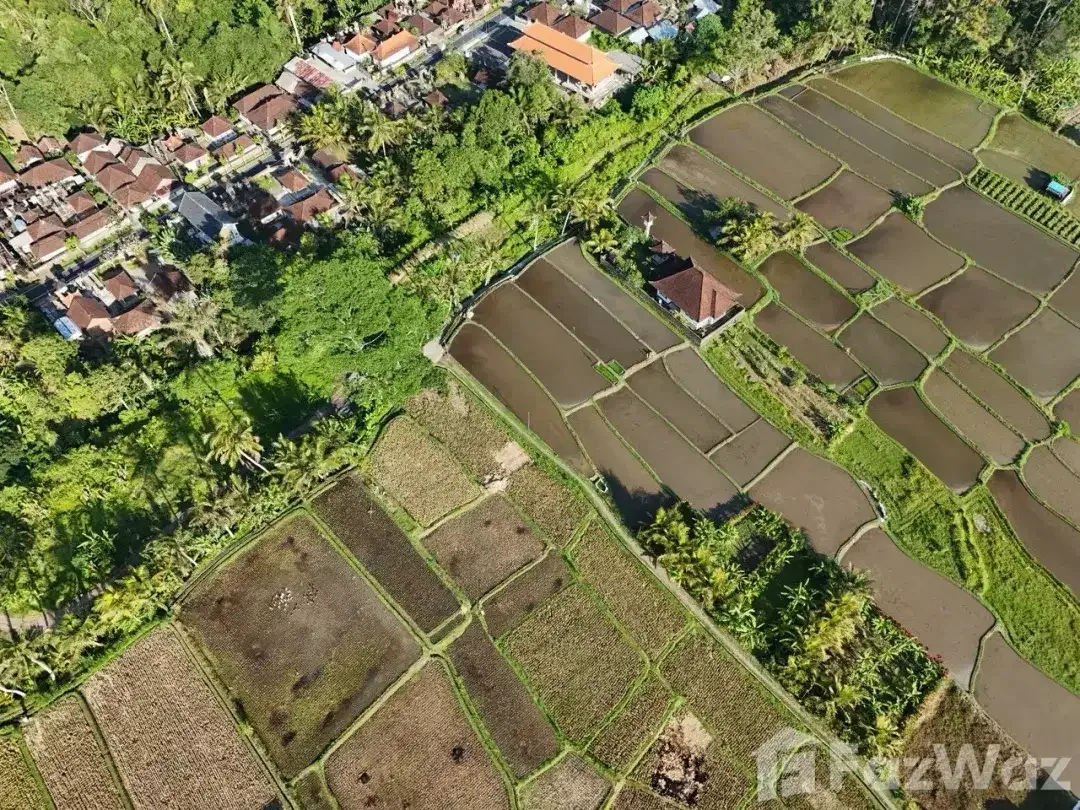Land for sale in Pejeng, Bali - Image 3 of 9