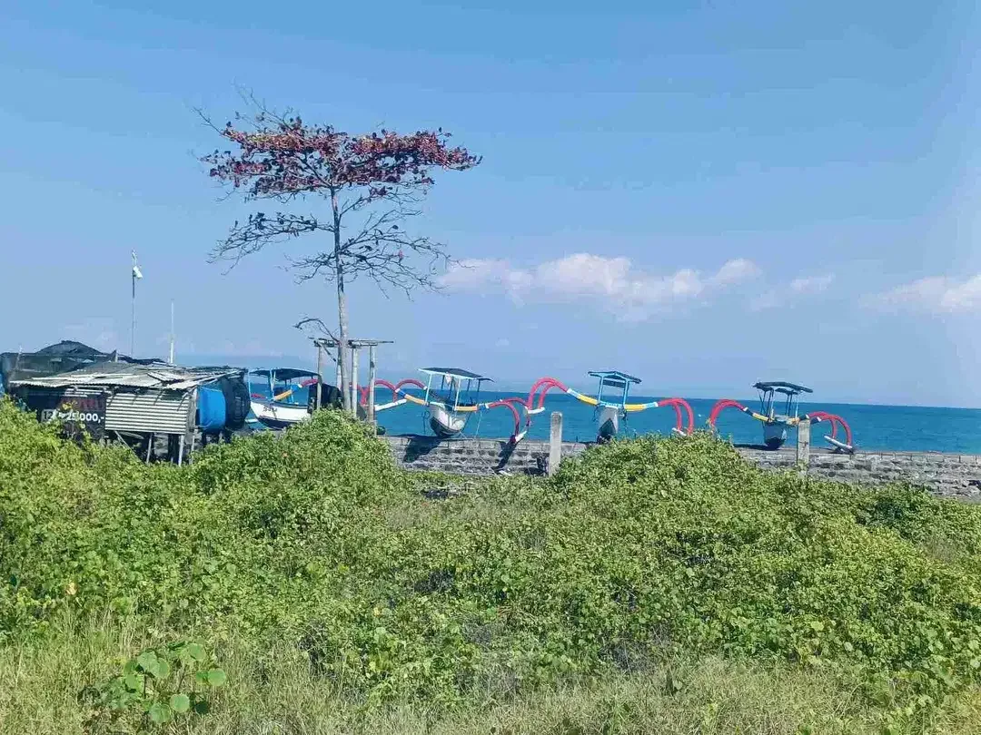 Tanah Premium Beachfront dan Jalan Utama By pass Ida Bagus Mantra Pantai Lebih Gianyar - Image 2 of 9