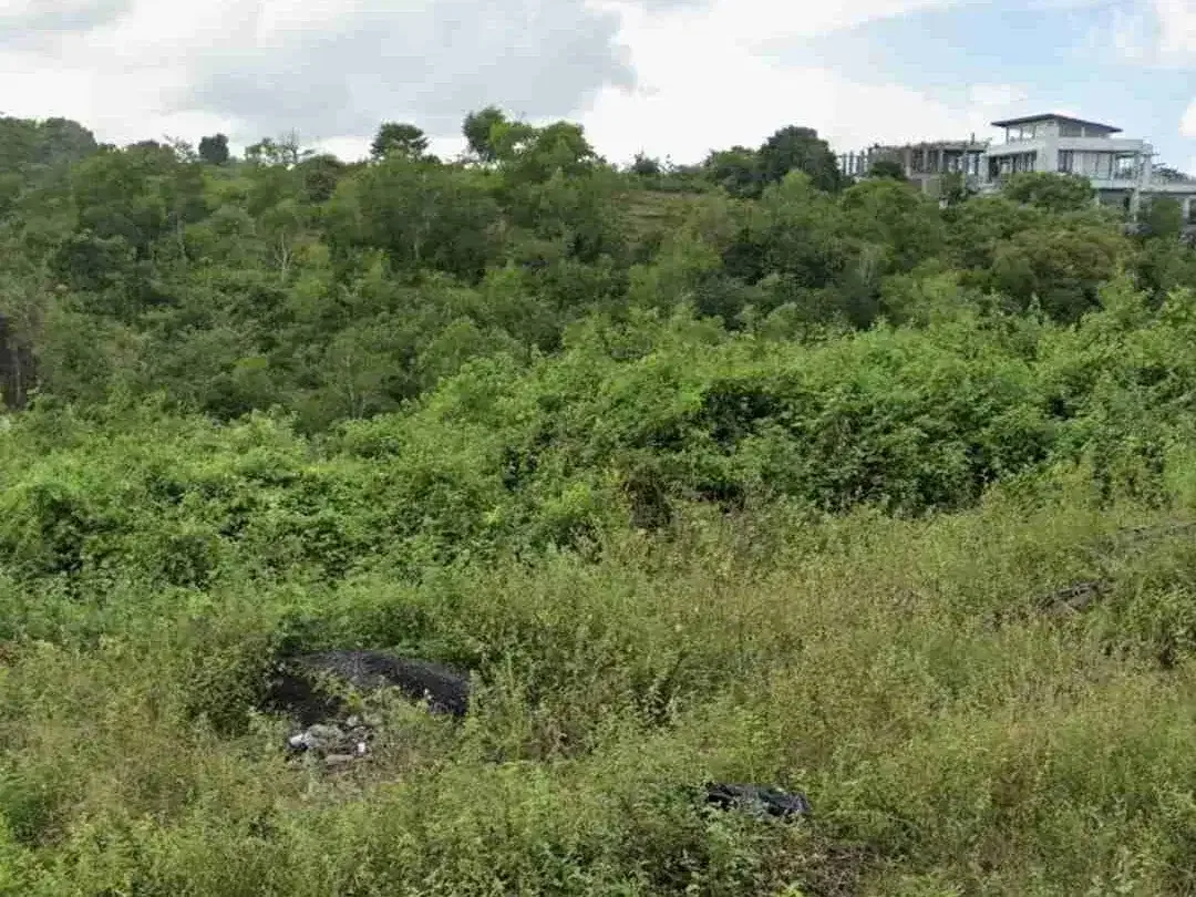 Dijual tanah jln utama Alas arum Bypass Bali tebing Ungasan - Image 4 of 5