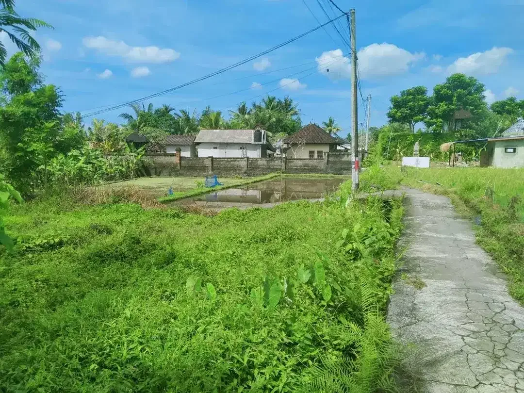 Scenic 2 Are Leasehold Land in Ubud with Rice Field View - Image 4 of 10