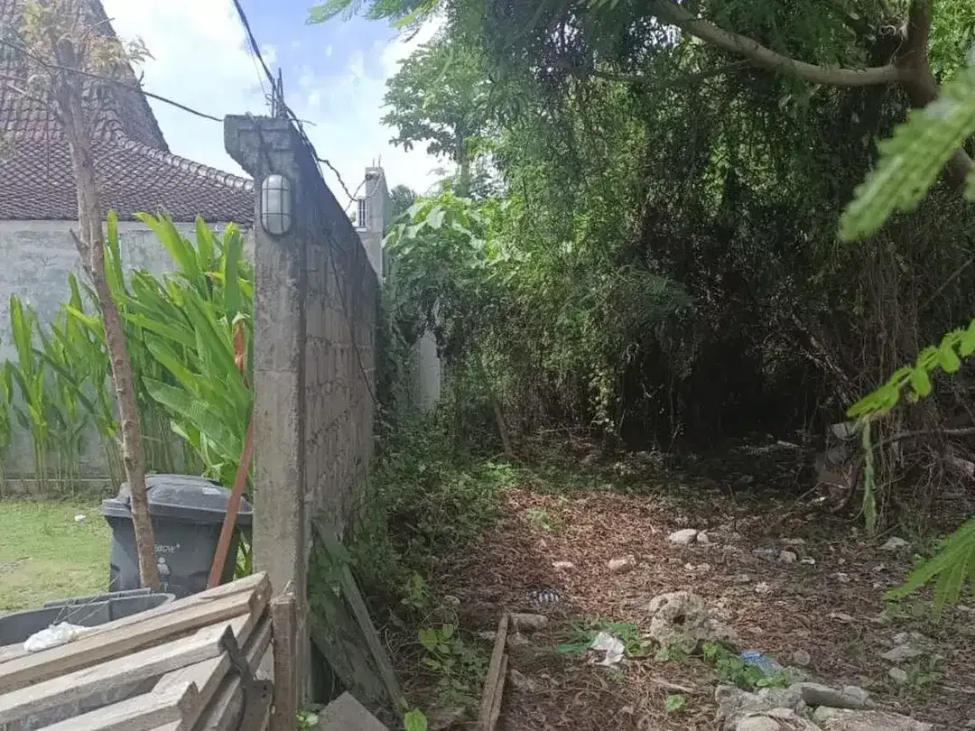 Rare Gem!! Seaside Freehold Land - Just 3 Minutes Walk from Famous Echo Beach, La Brisa - Image 7 of 10