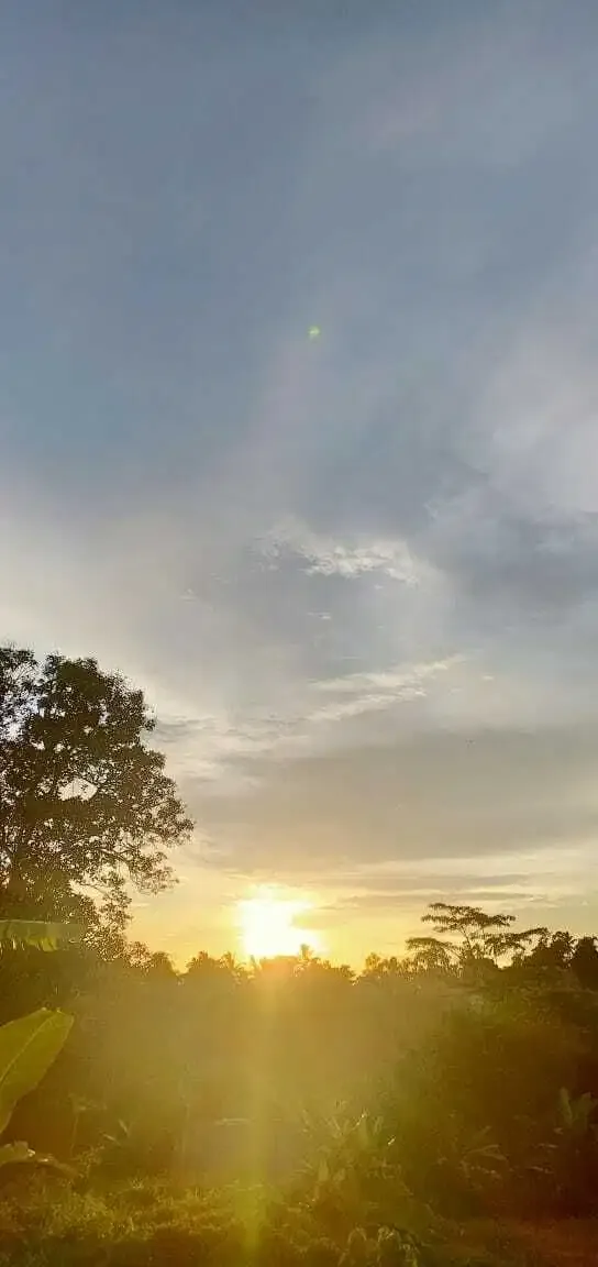 BUC TANAH VIEW GUNUNG, SAWAH DAN SUNGAI TABANAN - Image 5 of 10