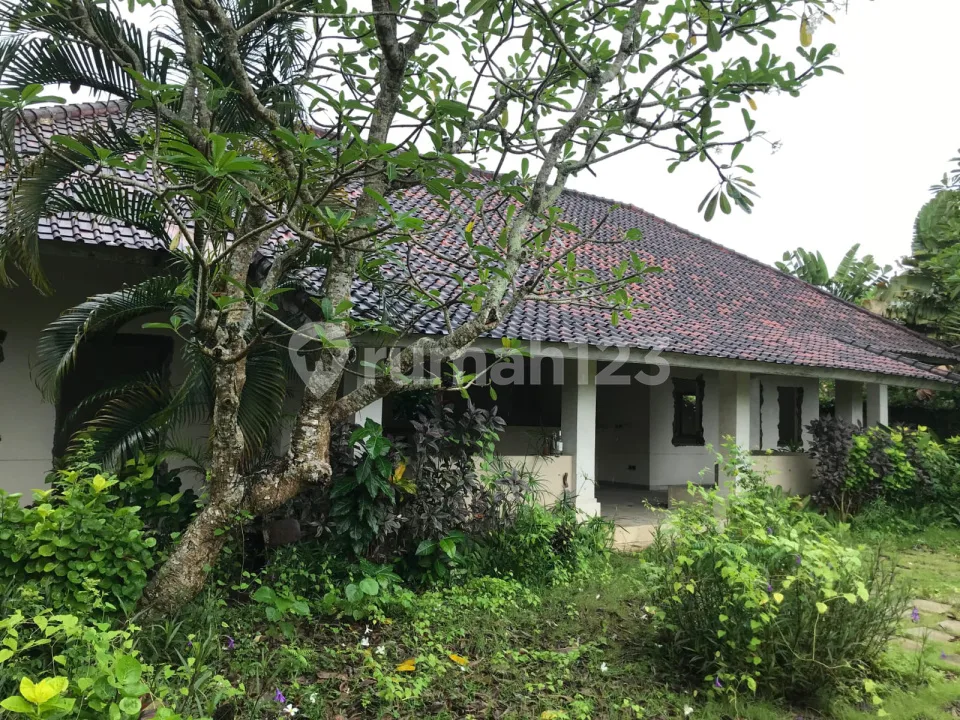 Di Jual Tanah Premium Cocok untuk Villadan Investasi di Jl Batu Belig, Seminyak - Image 4 of 4