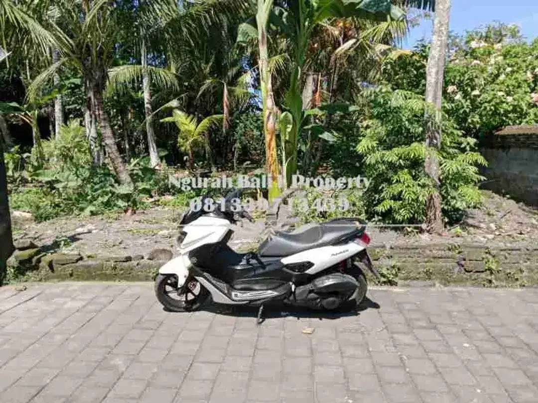 Disewakan Tanah Murah Luas 9 Are di Lodtunduh Ubud - Image 5 of 5