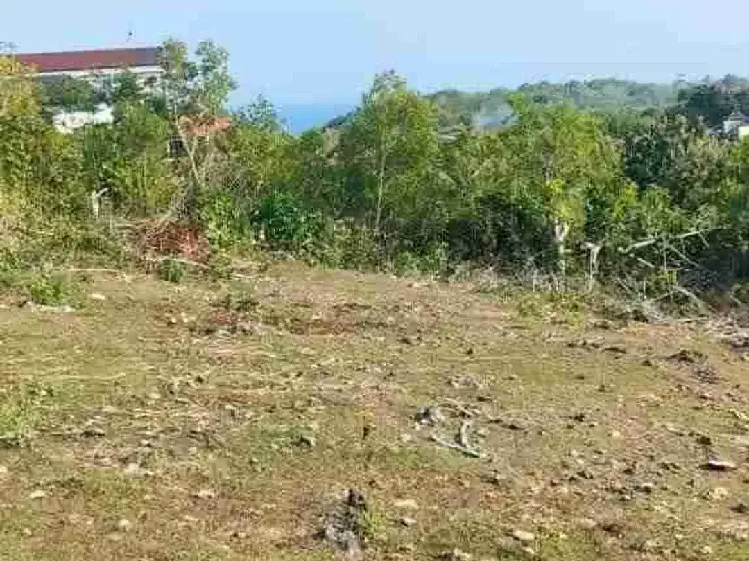 tanah ocean view 4714m² dekat pantai green bowl Ungasan Kuta Selatan Badung Bali - Image 3 of 5