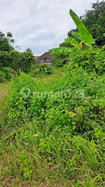 Jual Tanah Denpasar/Sempidi - Image 2 of 4