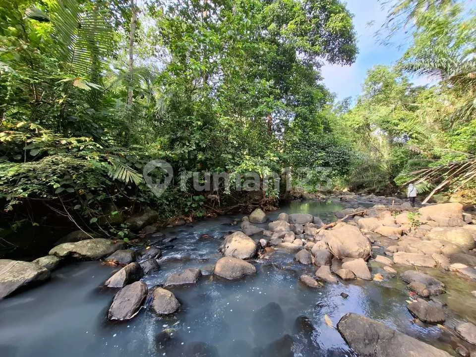 Dijual Tanah Los Sungai Bebatuan Murah Dekat Villa.di Tabanan Bali - Image 2 of 4