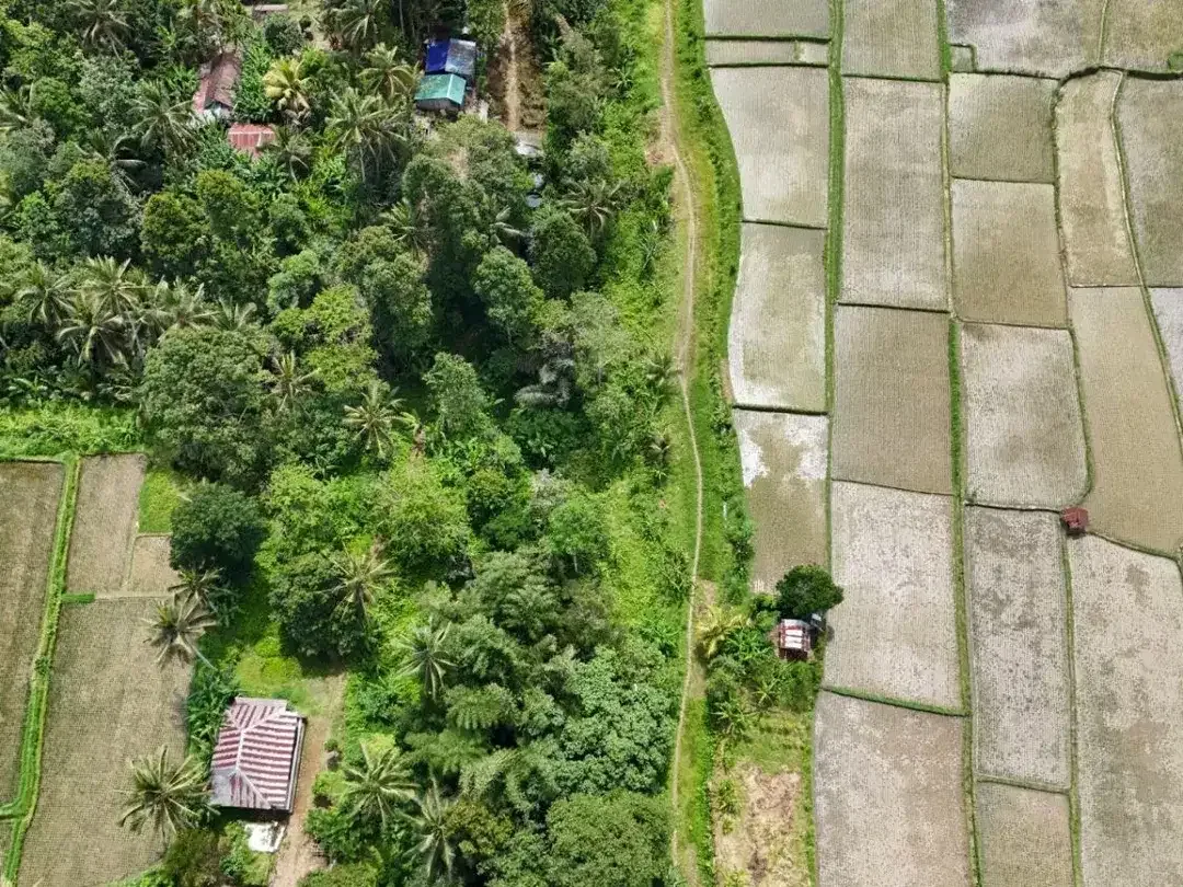 Rare! Tanah Kavling View Sawah – Lingkungan Asri, Legalitas Aman - Image 5 of 10