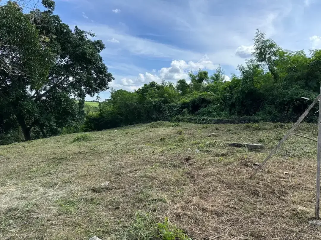 DI JUAL TANAH VIEW SAWAH DEKAT DENGAN CANGGU MUNGGU BALI - Image 3 of 10