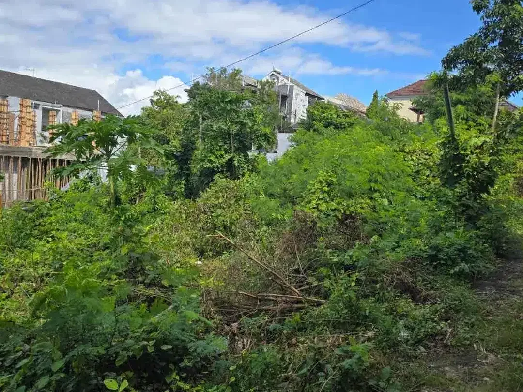 Dijual Tanah 2 Are Premium di Ungasan Bali Belakang Airis - Image 4 of 4