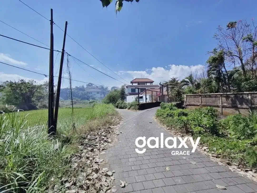 DIJUAL TANAH SUBAK TELAGA KETEWEL GIANYAR - Image 6 of 8