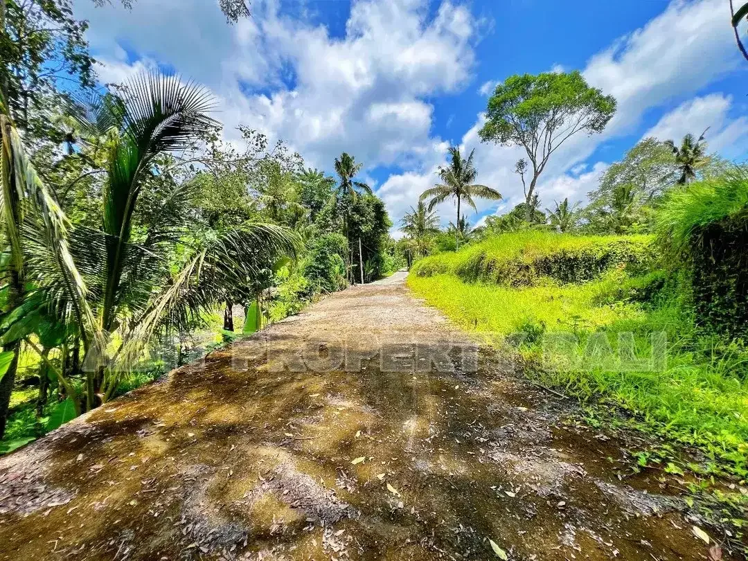 Tanah View Jungle & Sungai Payangan Ubud Gianyar Bali - Image 7 of 10