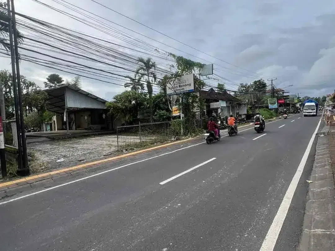 TANAH DISEWAKAN DI JALAN RAYA ANDONG, UBUD - Image 3 of 10