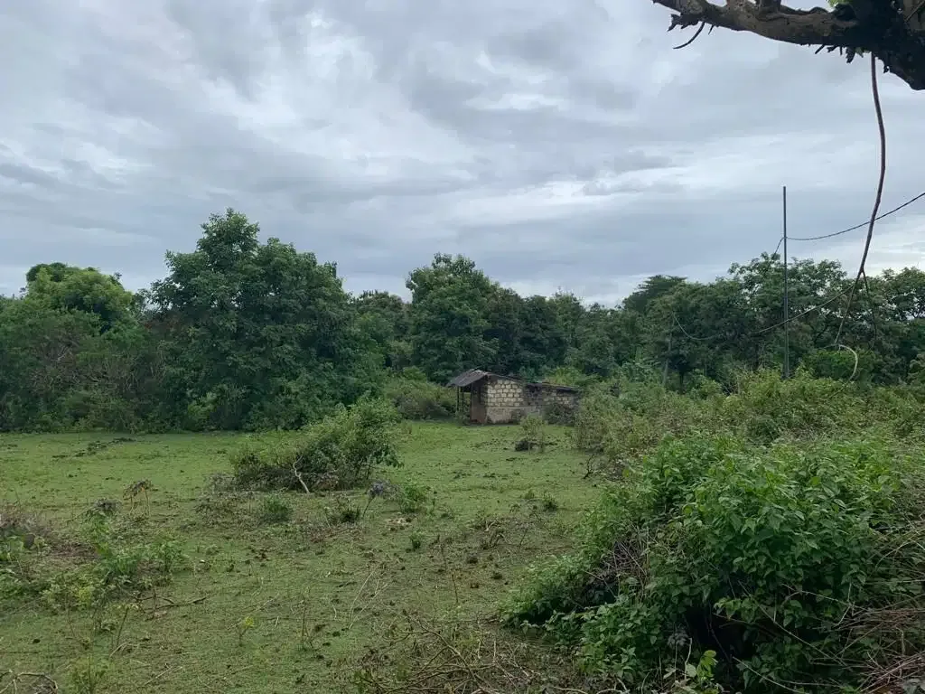 Dijual Tanah Dekat Pantai Balangan - Image 3 of 8