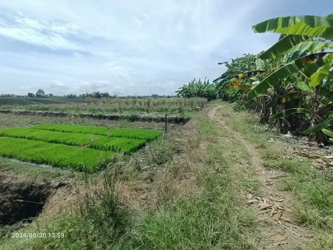 Dijual Tanah siap bangun - Image 4 of 5