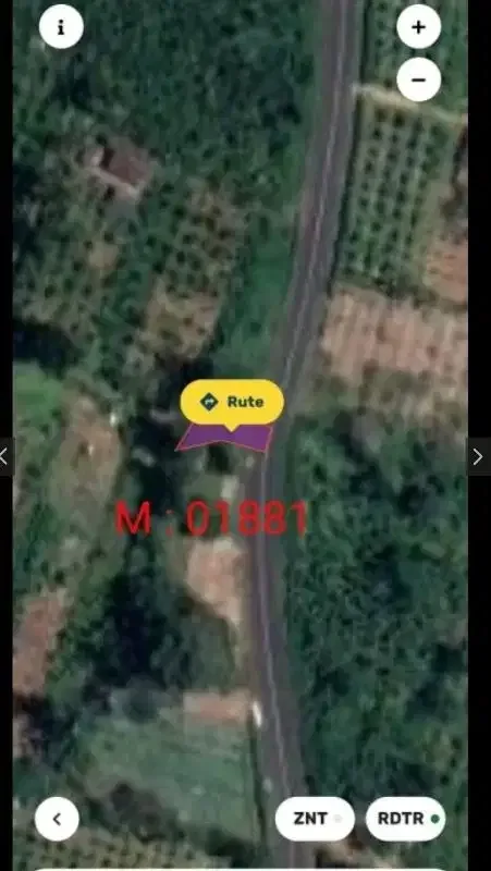 Dijual Tanah Payangan Kerta Untuk Retreat atau Kebun Organik - Image 3 of 7