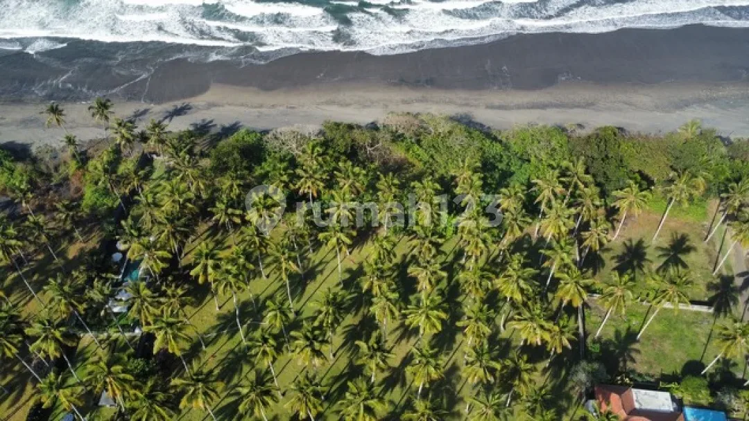 Jual Cepat Tanah Beachfront di Jembrana, Bali - Image 1 of 4