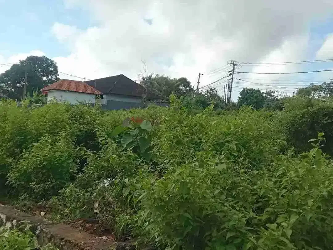 Disewakan Tanah Plot kecil yang terletak di kawasan Jl. Pantai Balangan dekat dengan tofino villas - Image 3 of 4
