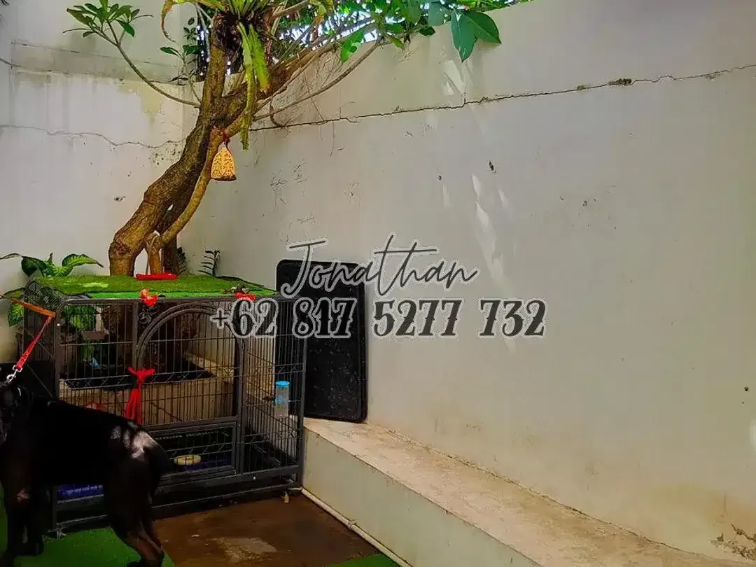 RUMAH MINIMALIS 3 KAMAR TIDUR LOKASI STRATEGIS DI JALAN BALIKU 2 KEROBOKAN - Image 7 of 7