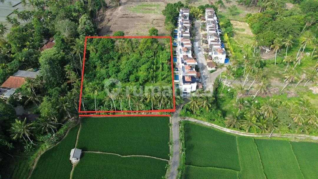 Di Jual Tanah Murah di Kawasan Kemenuh Dekat Ubud - Image 4 of 4