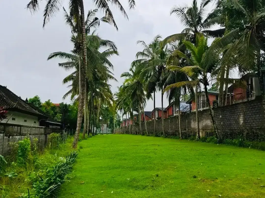 Tanah kedewatan ubud bali - Image 2 of 10