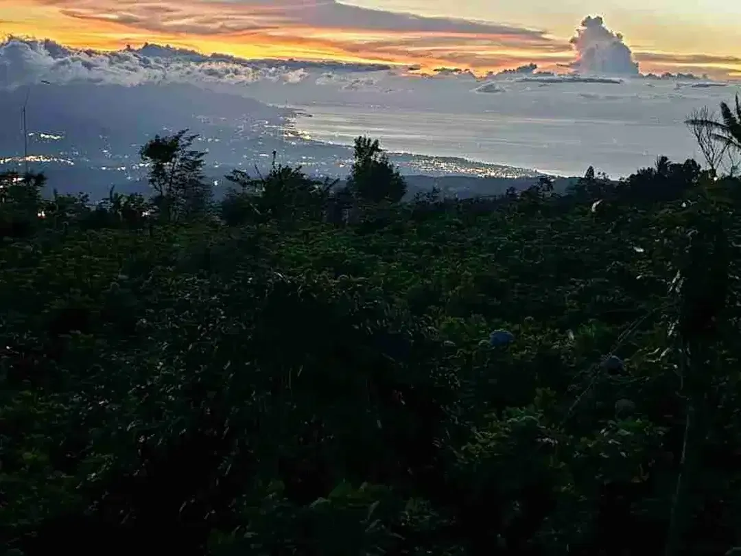 Lahan Premium Buleleng Bali View Pegunungan Luas 6,7 Ha - Image 4 of 8