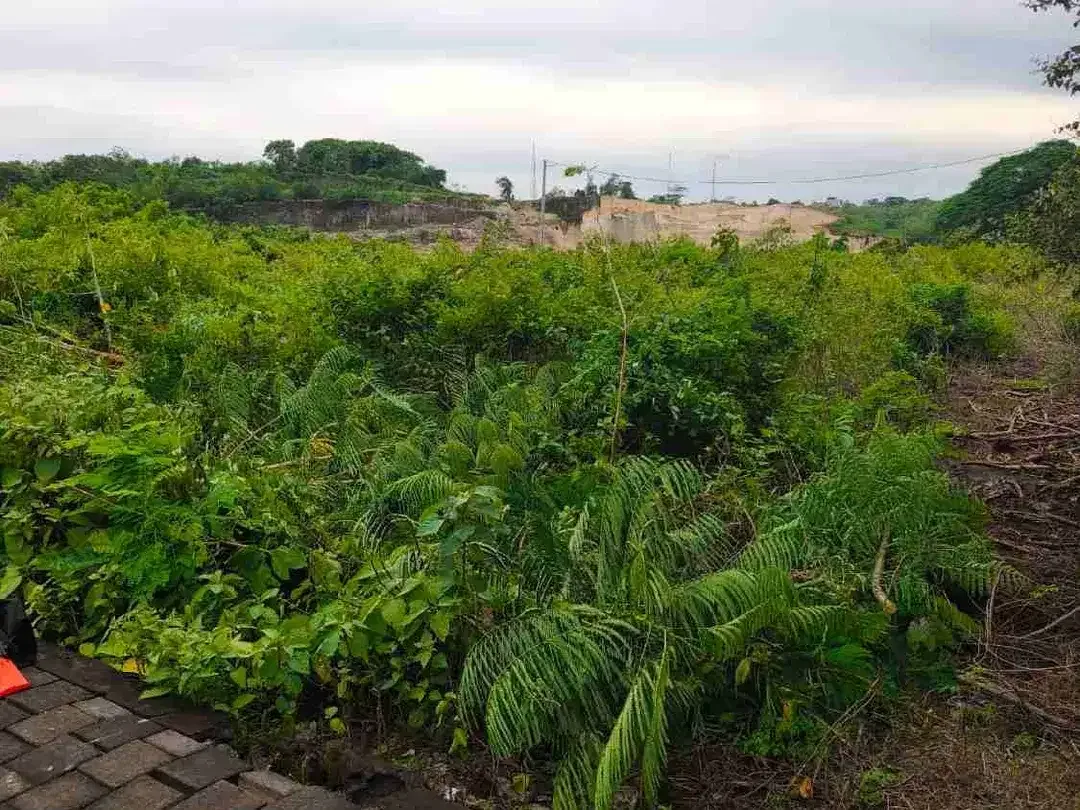 Tanah Nusa Dua Dekat Pantai Bisa Ambil 500 m² - Image 4 of 10