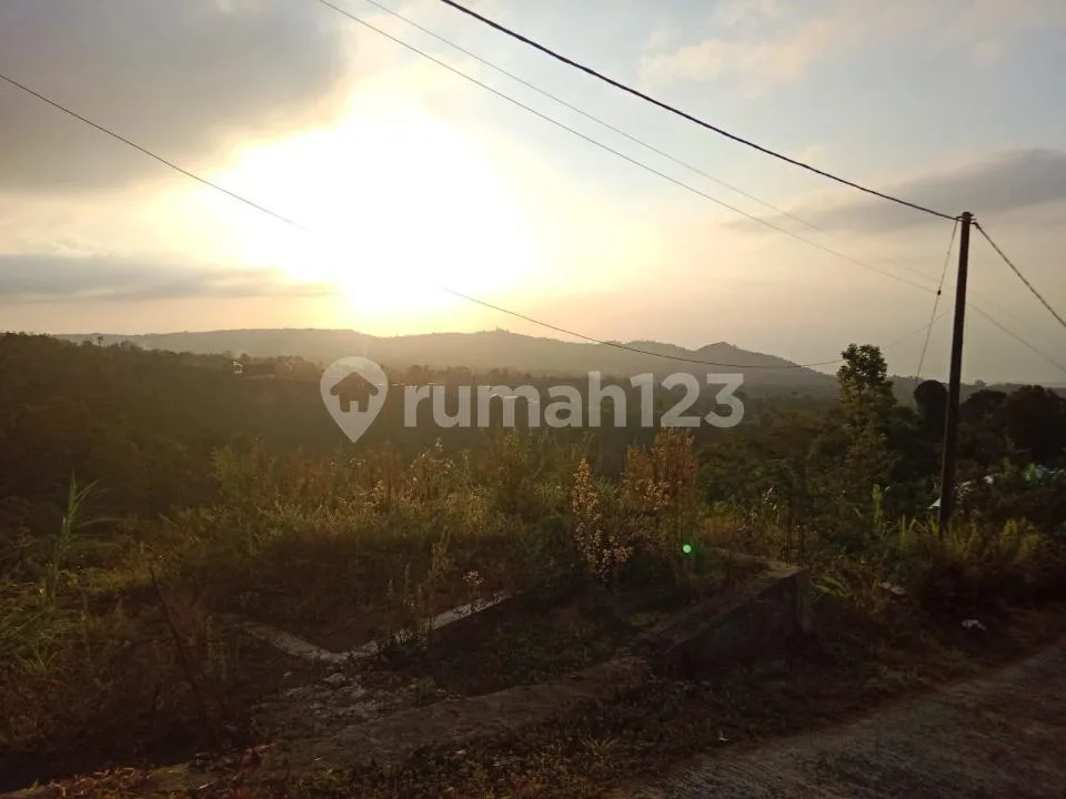 Tanah View Laut dan Sunset Buleleng #8904 - Image 3 of 4