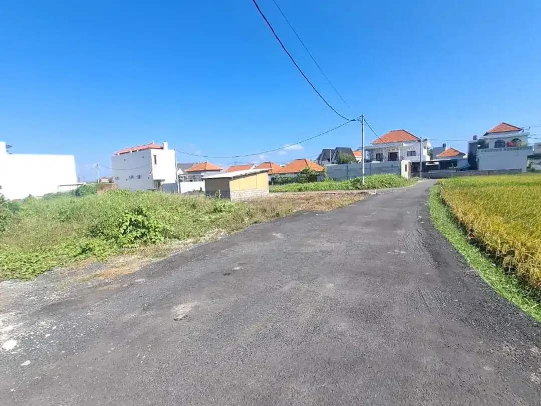 Land for Sale Near Seseh Beach, Mengwi – Suitable for Villa, Guest House & Investment - Image 2 of 5