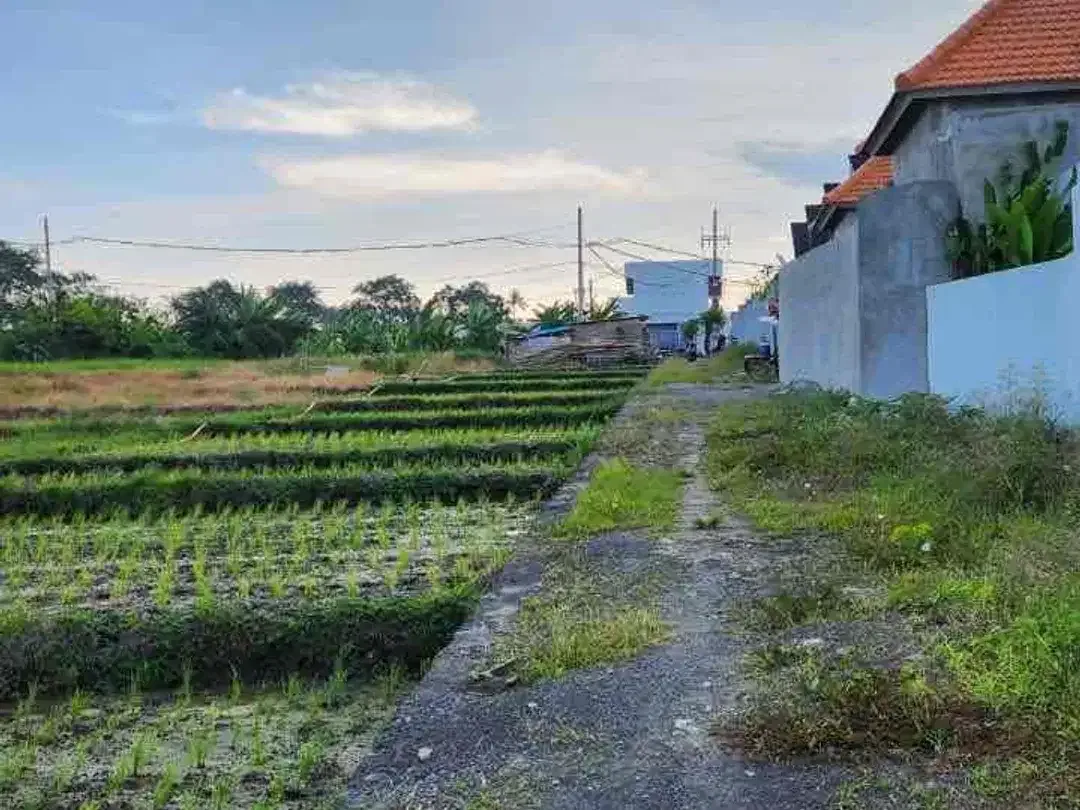 Dijual Tanah Murah di kawasan Pantai Seseh - Image 2 of 7