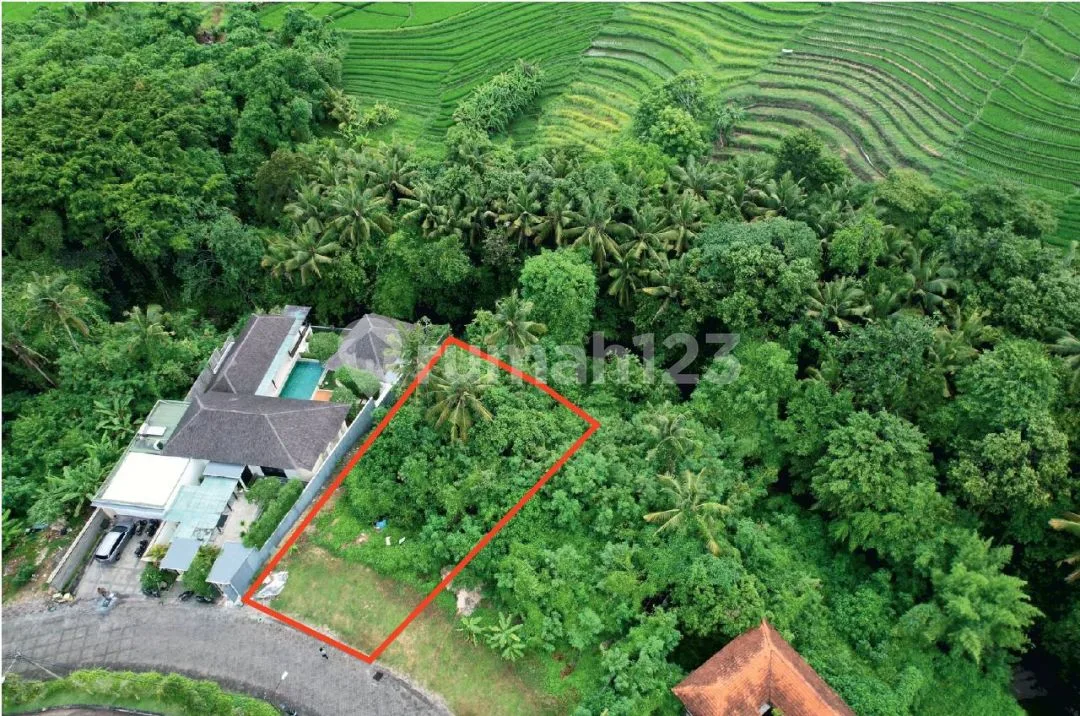 Tanah Seseh Cemagi Los Sungai Siap Bangun Villa Mewah - Image 2 of 4