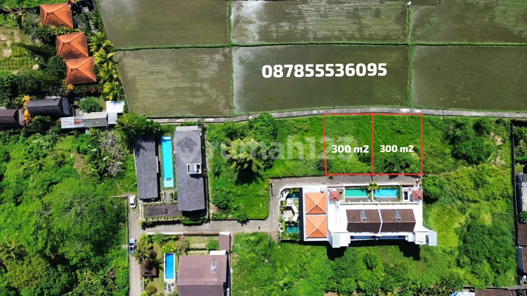 Dijual Tanah View Sawah di Mas Ubud Gianyar Bali Nyaman & Tenang - Image 3 of 4