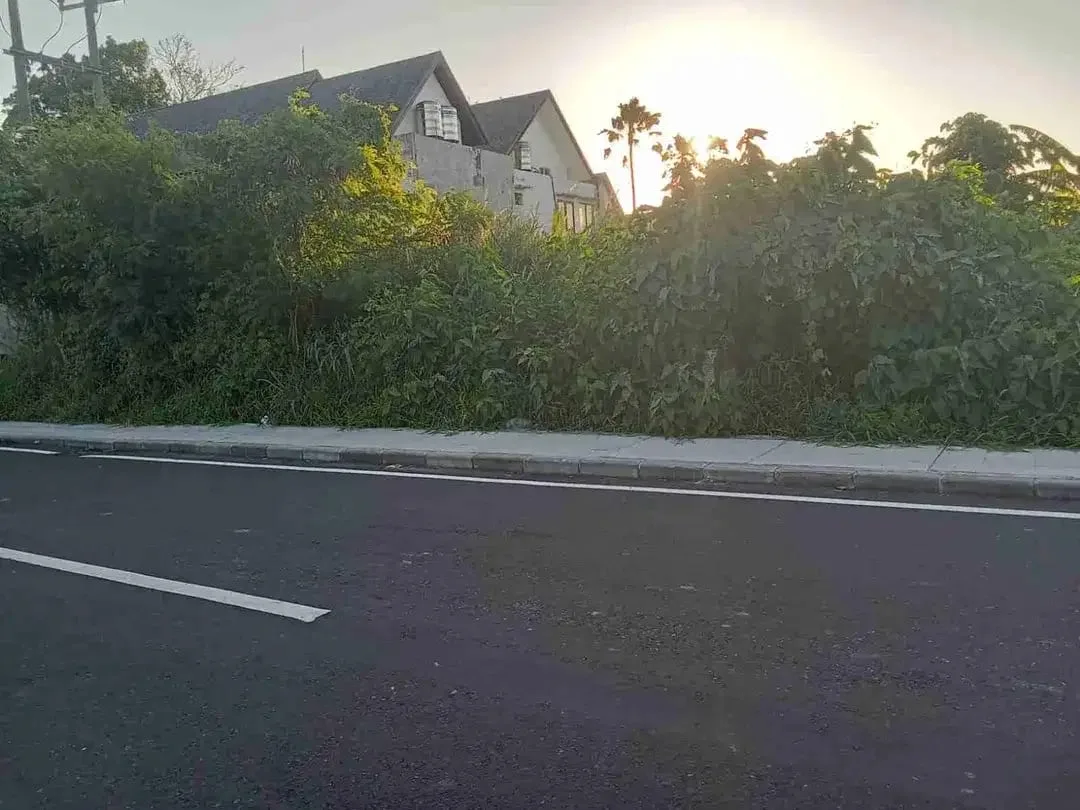 Tanah Komersial Cemagi Hanya 300 Meter ke Pantai - Image 3 of 10