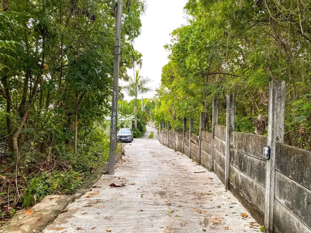 DIJUAL TANAH PINGGIR SUNGAI DEKAT PANTAI BERAWA BALI - Image 4 of 10