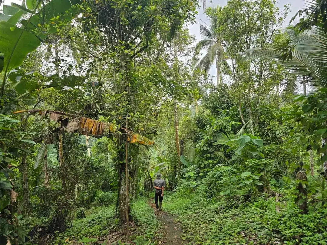 Dijual tanah dengan air terjun dan sungai cantik di bali - Image 7 of 10