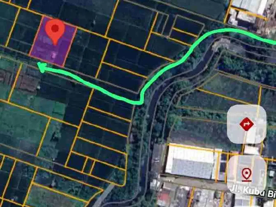 Disewakan Tanah 10a di area Jln Mahendradata Denpasar Barat Bali - Image 2 of 6