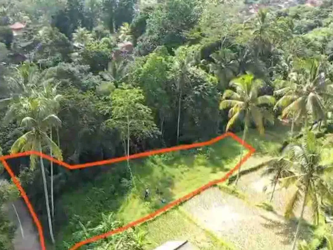 Tanah Murah Los Sungai Zona Kenderan Tegalalang Ubud Bali - Image 3 of 10