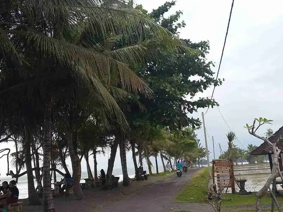 Beach Front Land in Kelecung Tabanan Bali - Image 5 of 5